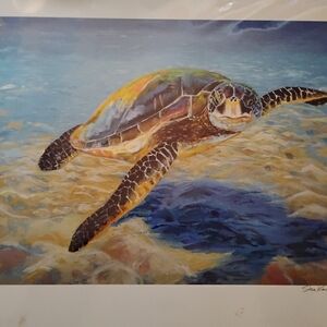 Animal Prints 1) Sea Turtle 1) Birds